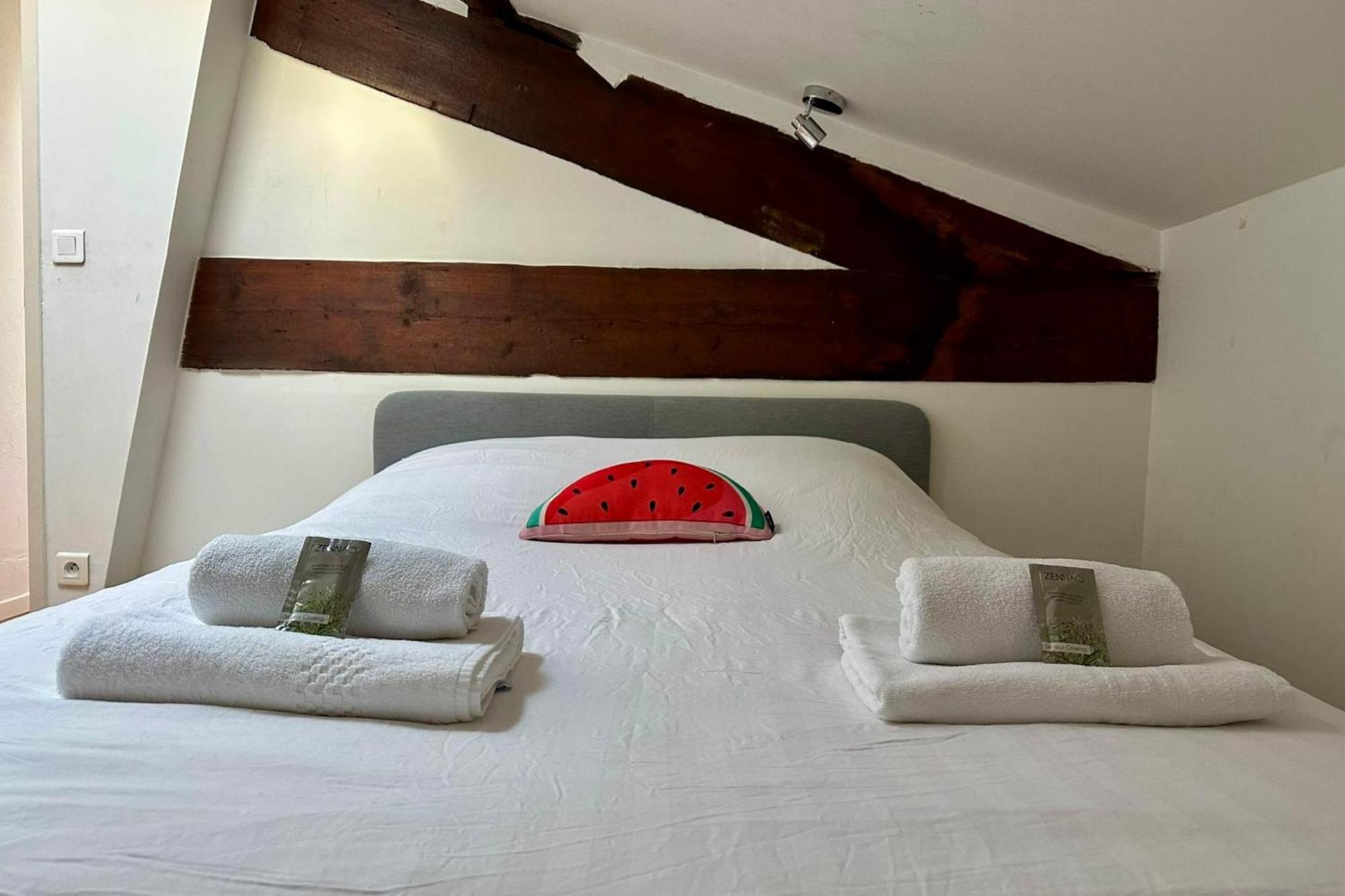 The Duplex- Air-Conditioned 3 Bedrooms In The Center Of Montpellier! Exteriér fotografie